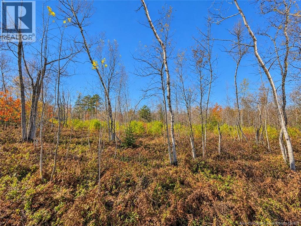 / Rue Omer Property Photo 6