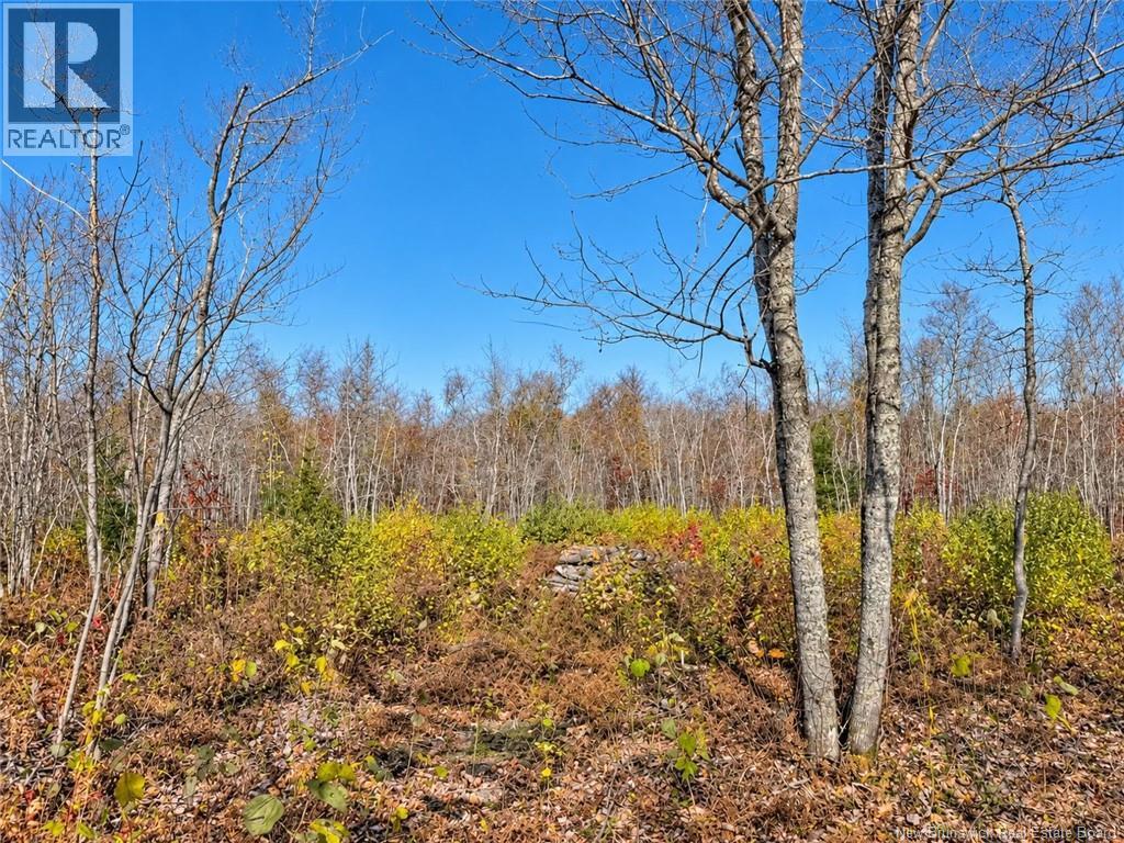 / Rue Omer Property Photo 7