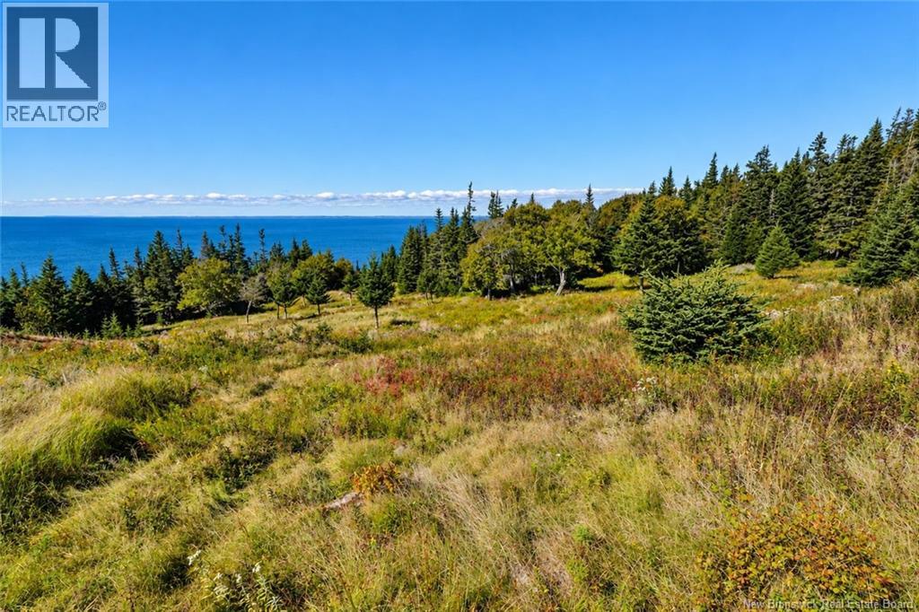 Off Route 776 Property Photo 34