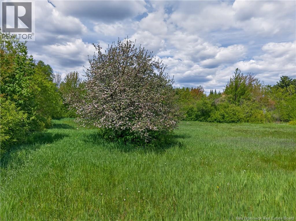 517 Route 11 Hwy Property Photo 34