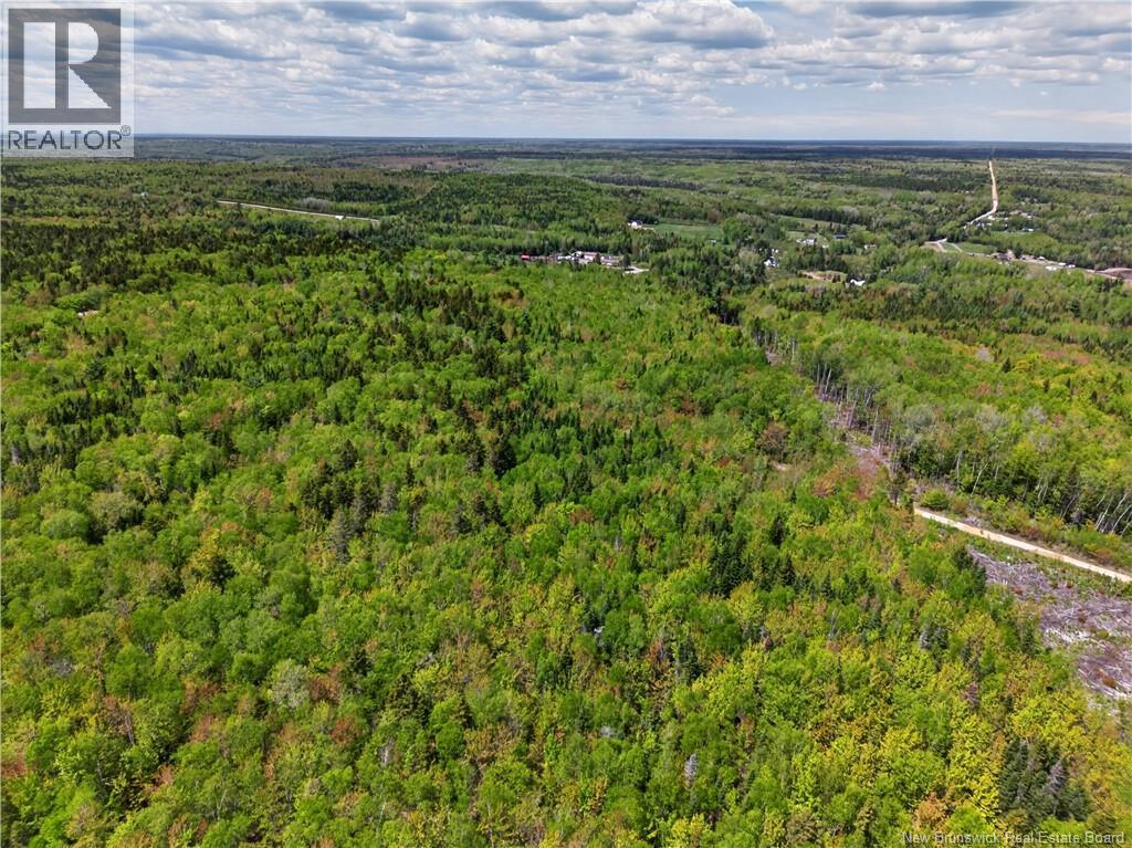 517 Route 11 Hwy Property Photo 42