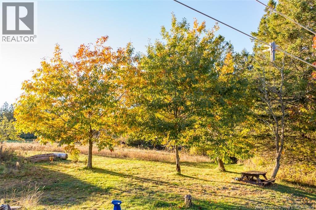 186 Sands Road Property Photo 6