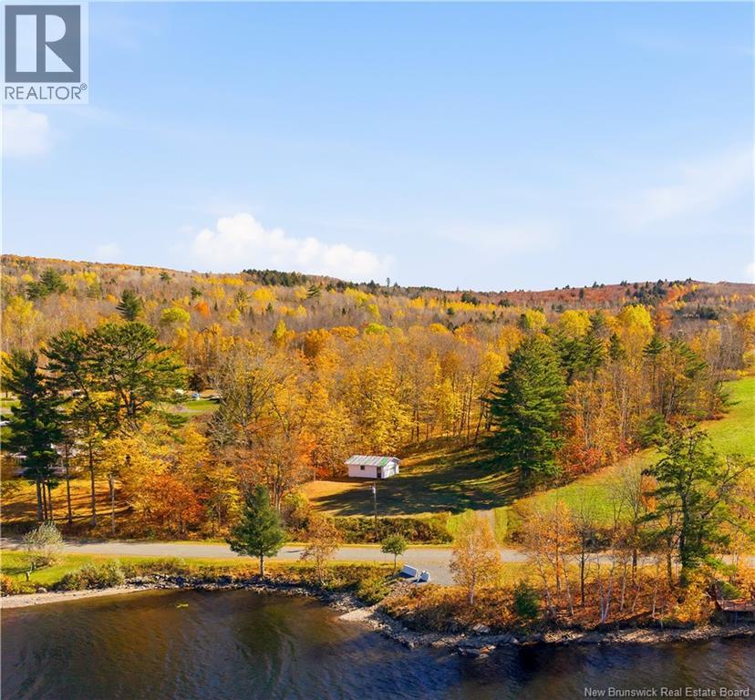 61 Hawkshaw Road Property Photo 4