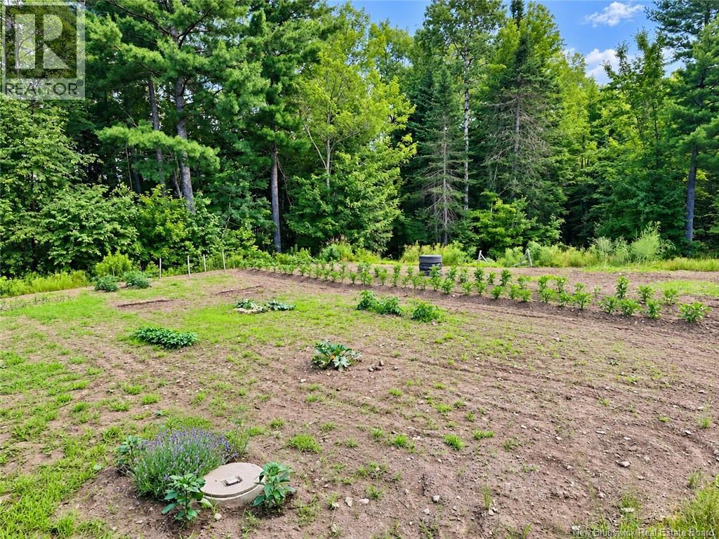 559 Bay Du Vin River Road Property Photo 32