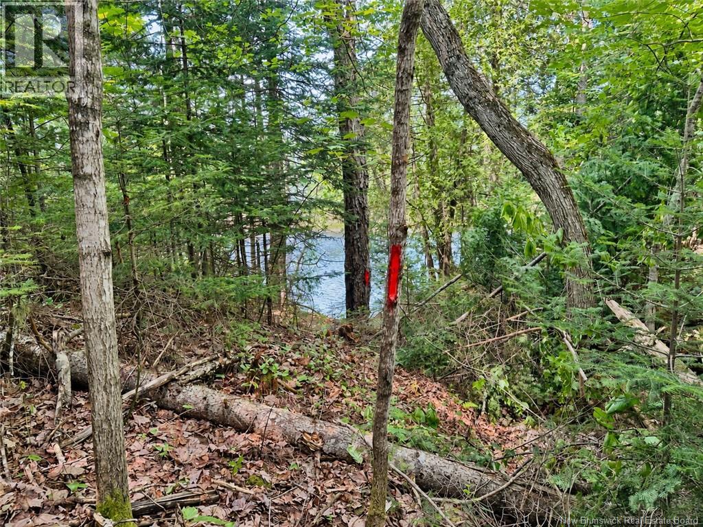 559 Bay Du Vin River Road Property Photo 34