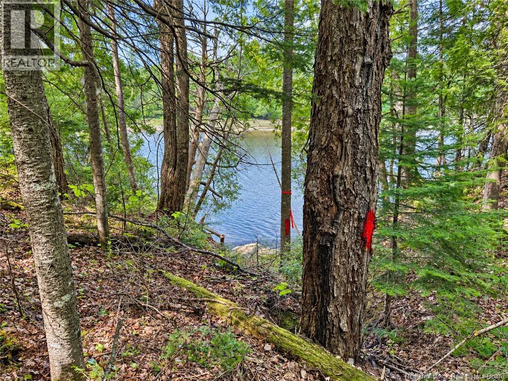 559 Bay Du Vin River Road Property Photo 35
