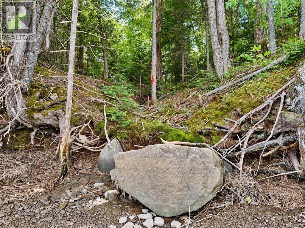 559 Bay Du Vin River Road Property Photo 36