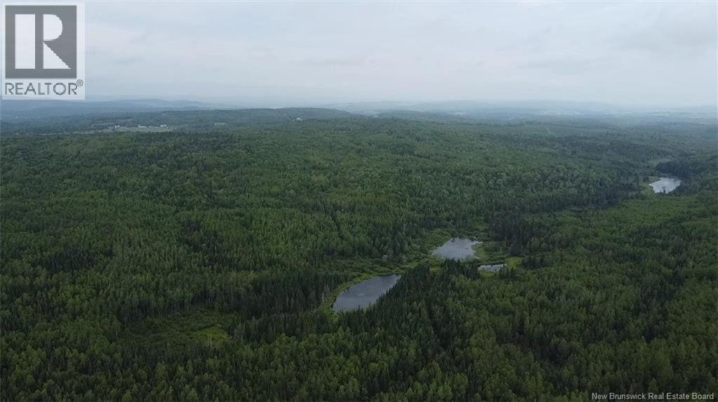 Off Drurys Cove Road Property Photo 4