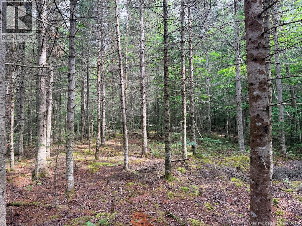 Off Drurys Cove Road Property Photo 5