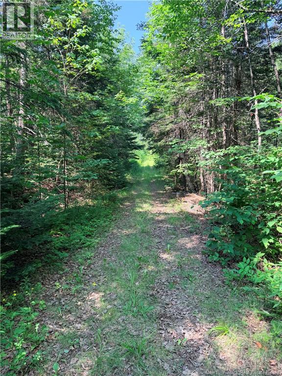 Off Drurys Cove Road Property Photo 12