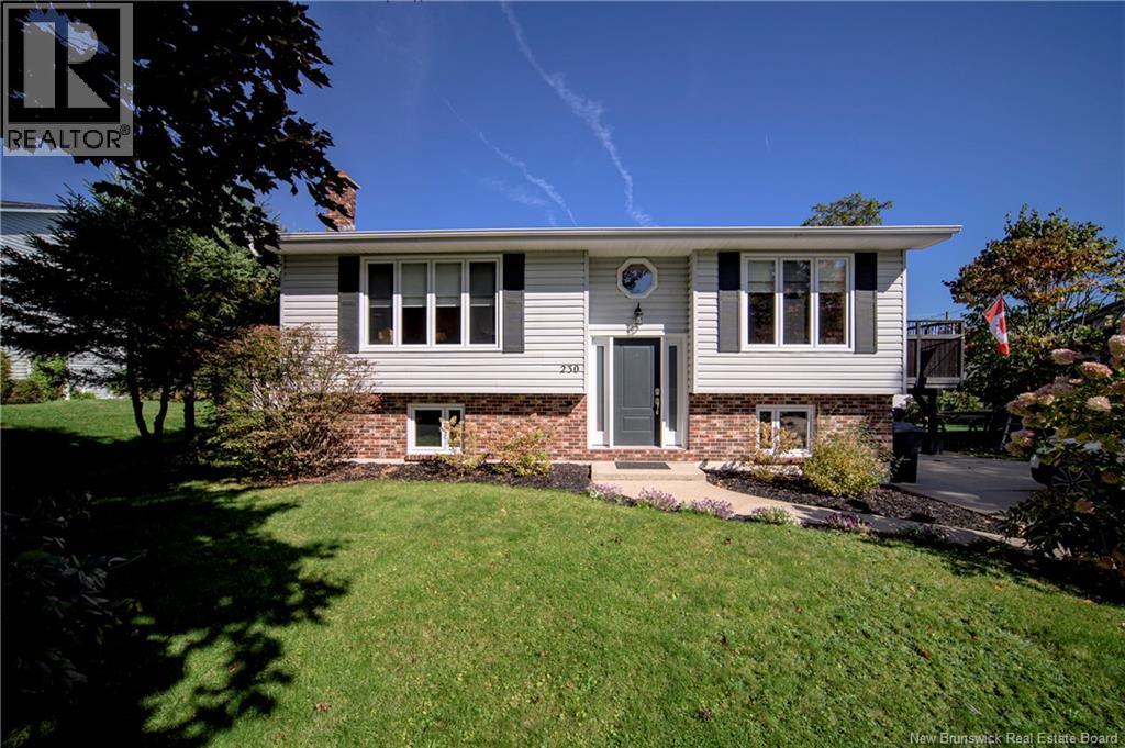 230 Case Street Property Photo 1