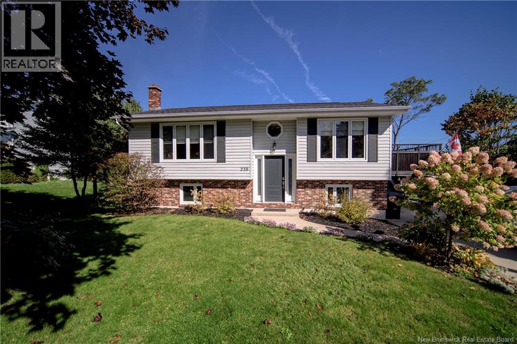 230 Case Street Property Photo 39