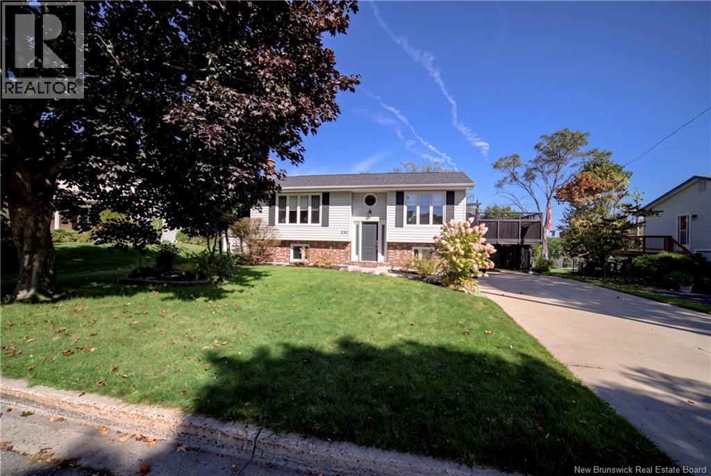 230 Case Street Property Photo 41