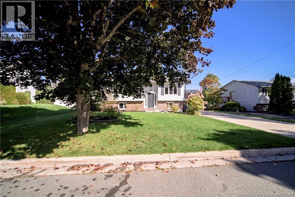 230 Case Street Property Photo 44