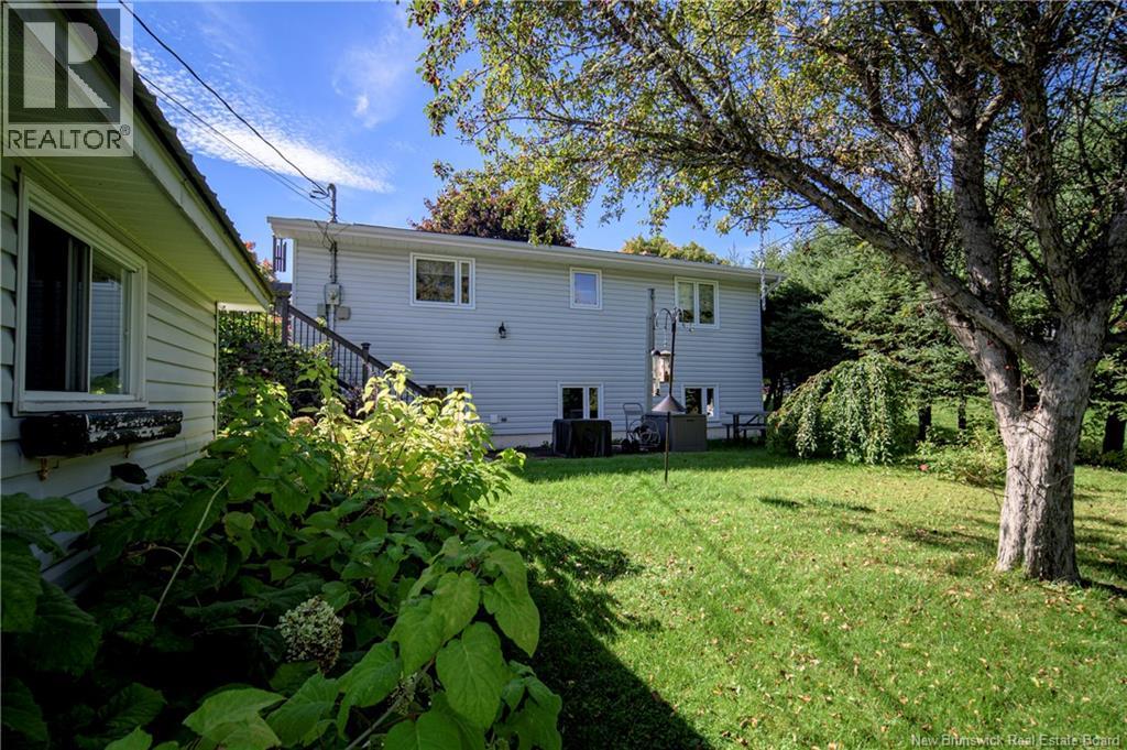 230 Case Street Property Photo 45