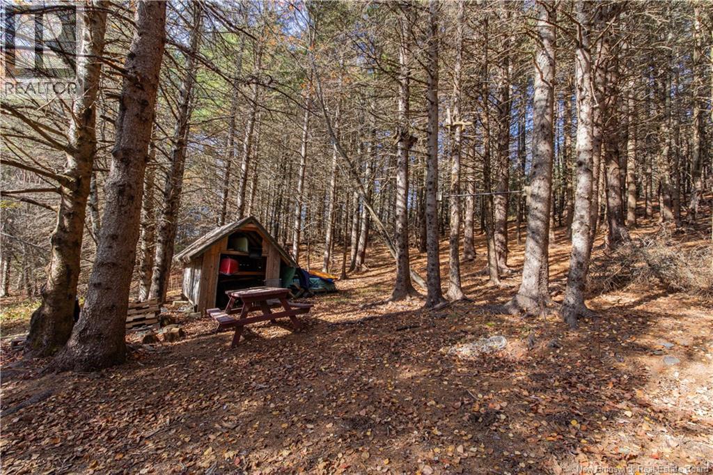 3119 Route 121 Property Photo 47
