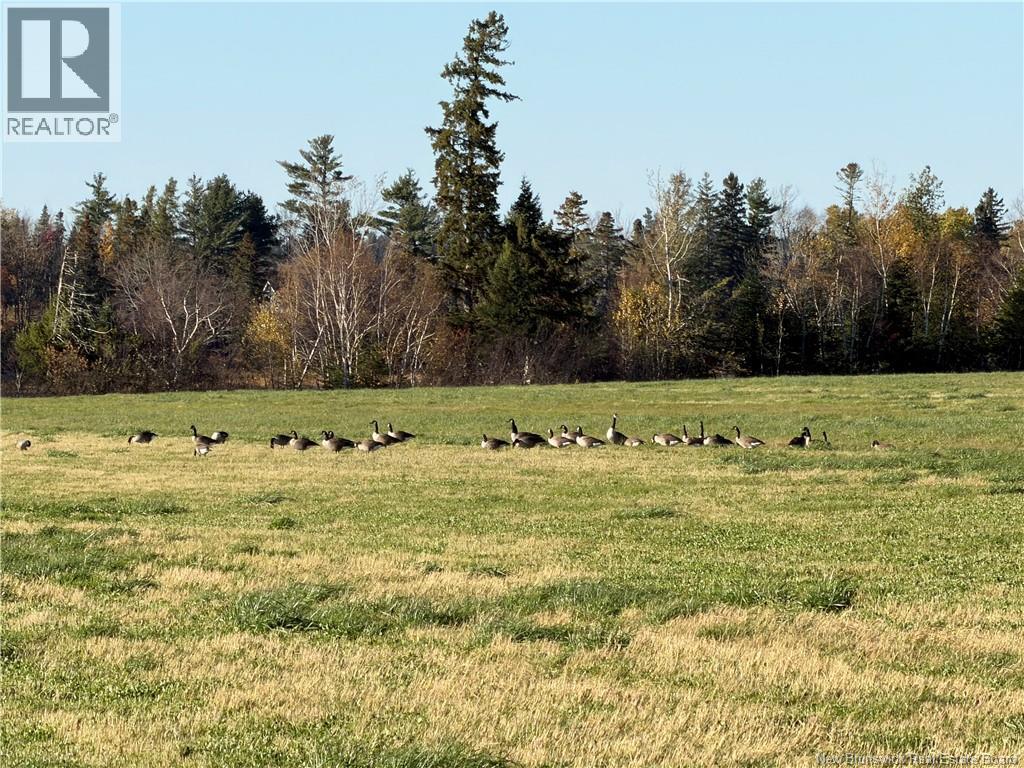 7848 Route 117 Property Photo 3