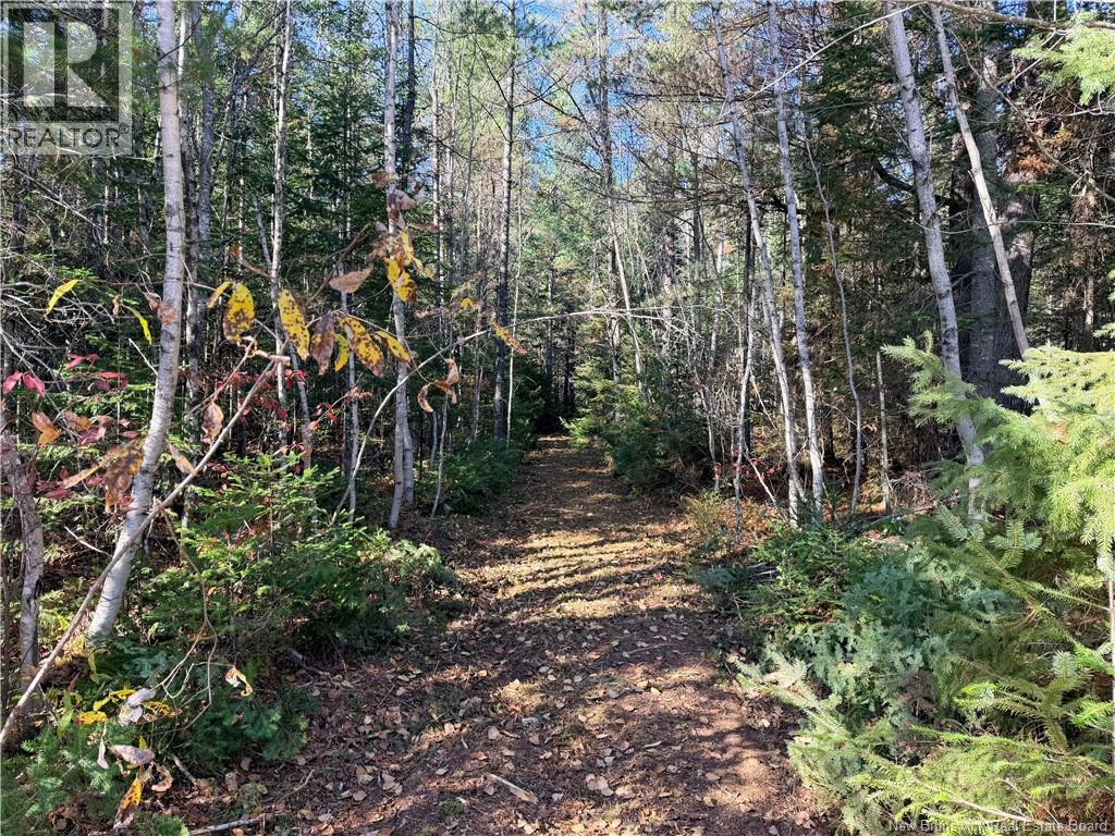 Lot 2 Route 112 Property Photo 1