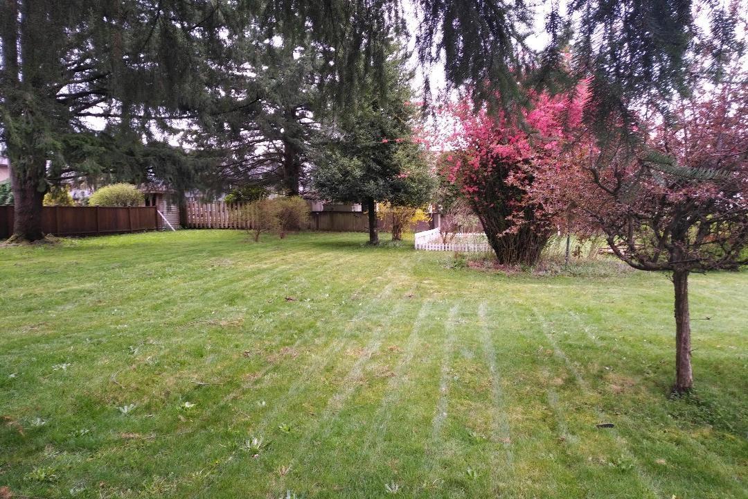 11726 203 Street Property Photo 2