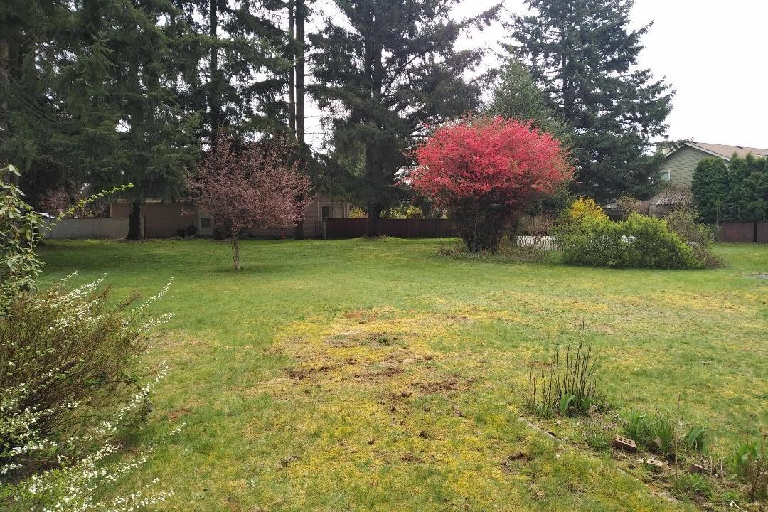 11726 203 Street Property Photo 6