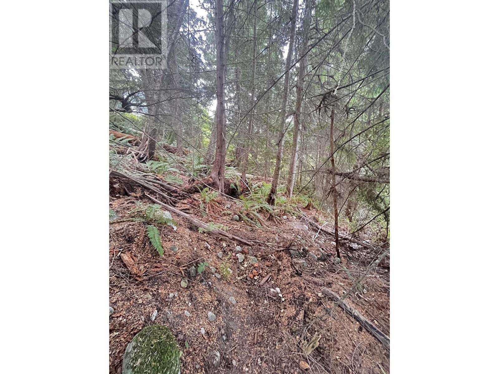 Lot 34 Deerhorn Drive Property Photo 3