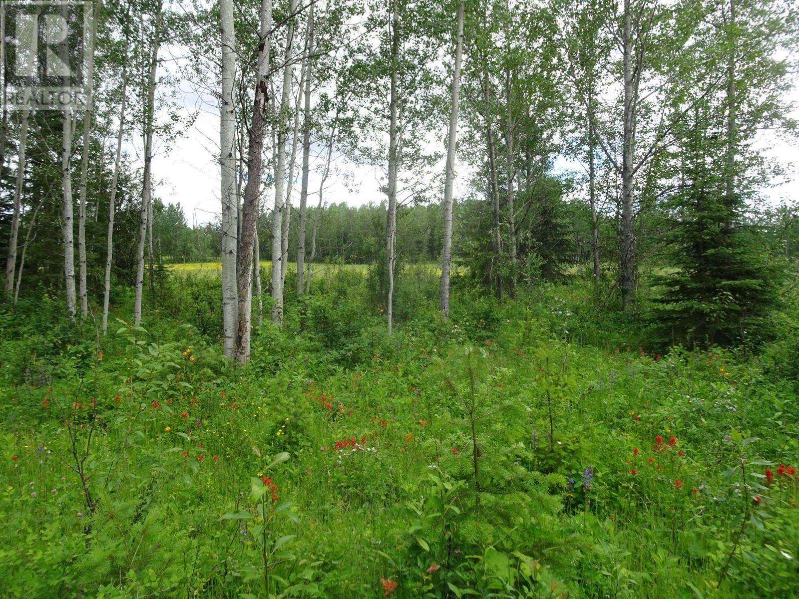 Dl5277 Day Road Property Photo 14