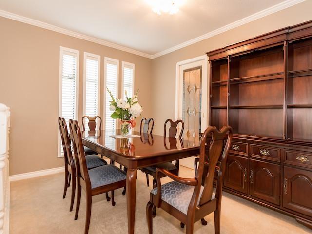 10980 63 Avenue Property Photo 22
