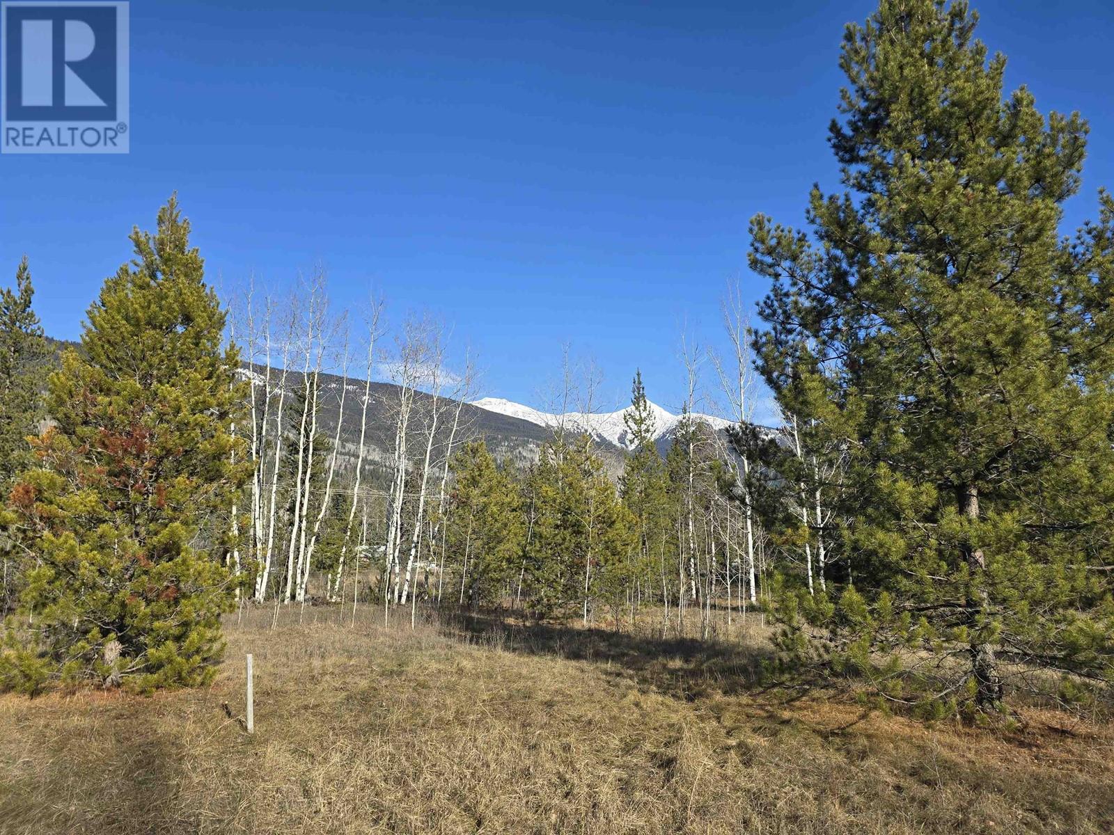 Lot 1 13th Avenue Property Photo 1