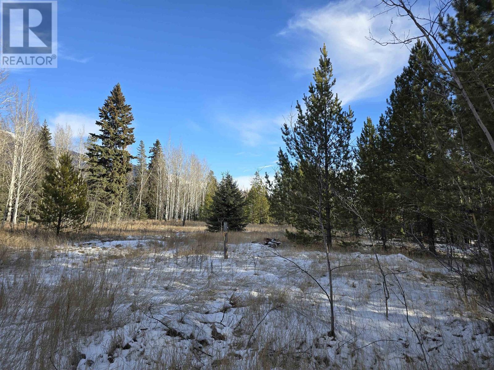 Lot 1 13th Avenue Property Photo 2
