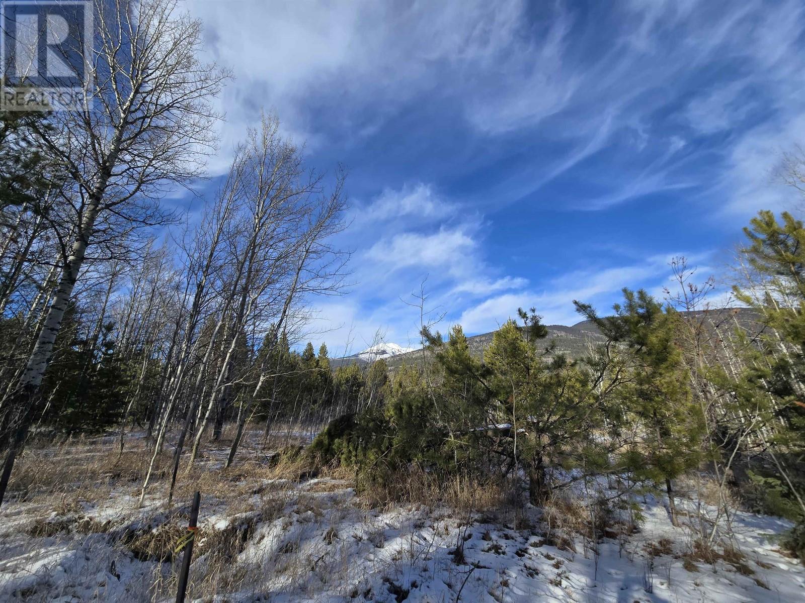 Lot 1 13th Avenue Property Photo 3