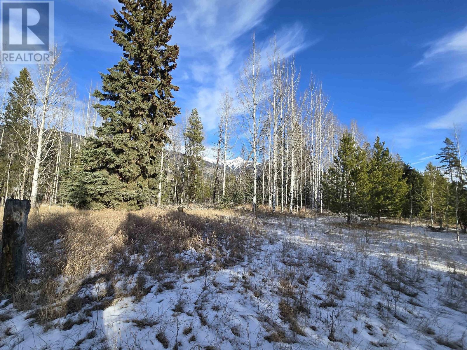 Lot 1 13th Avenue Property Photo 4