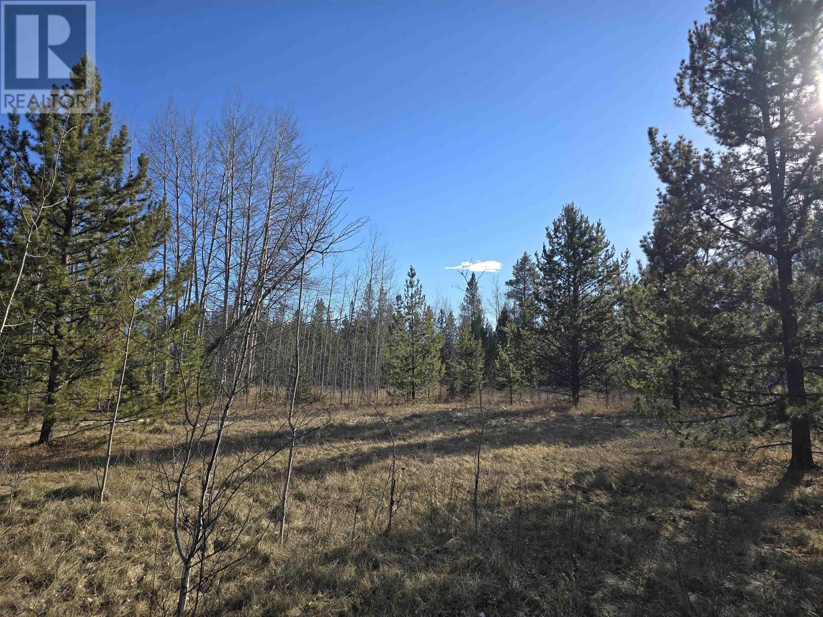 Lot 1 13th Avenue Property Photo 10