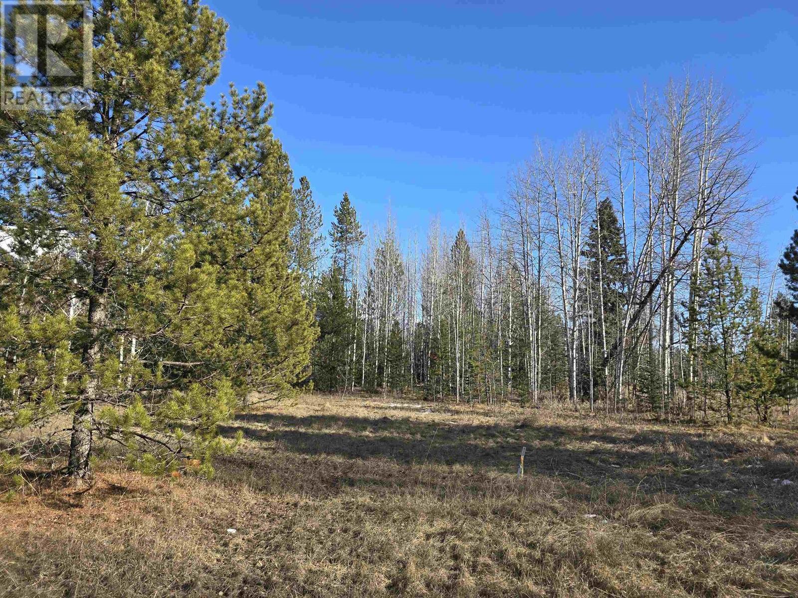 Lot 1 13th Avenue Property Photo 11