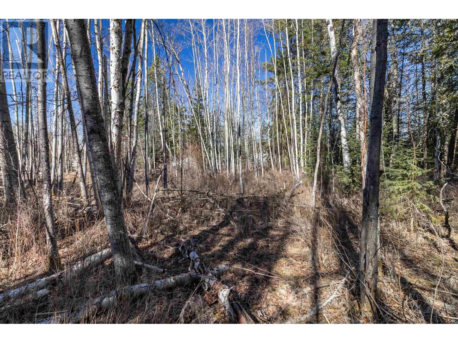 4722 Cariboo Drive Property Photo 12