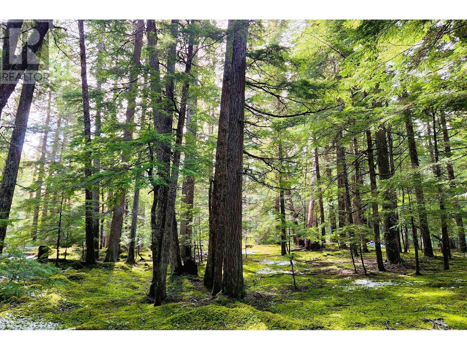 Dl3363 Highway 99 Property Photo 5