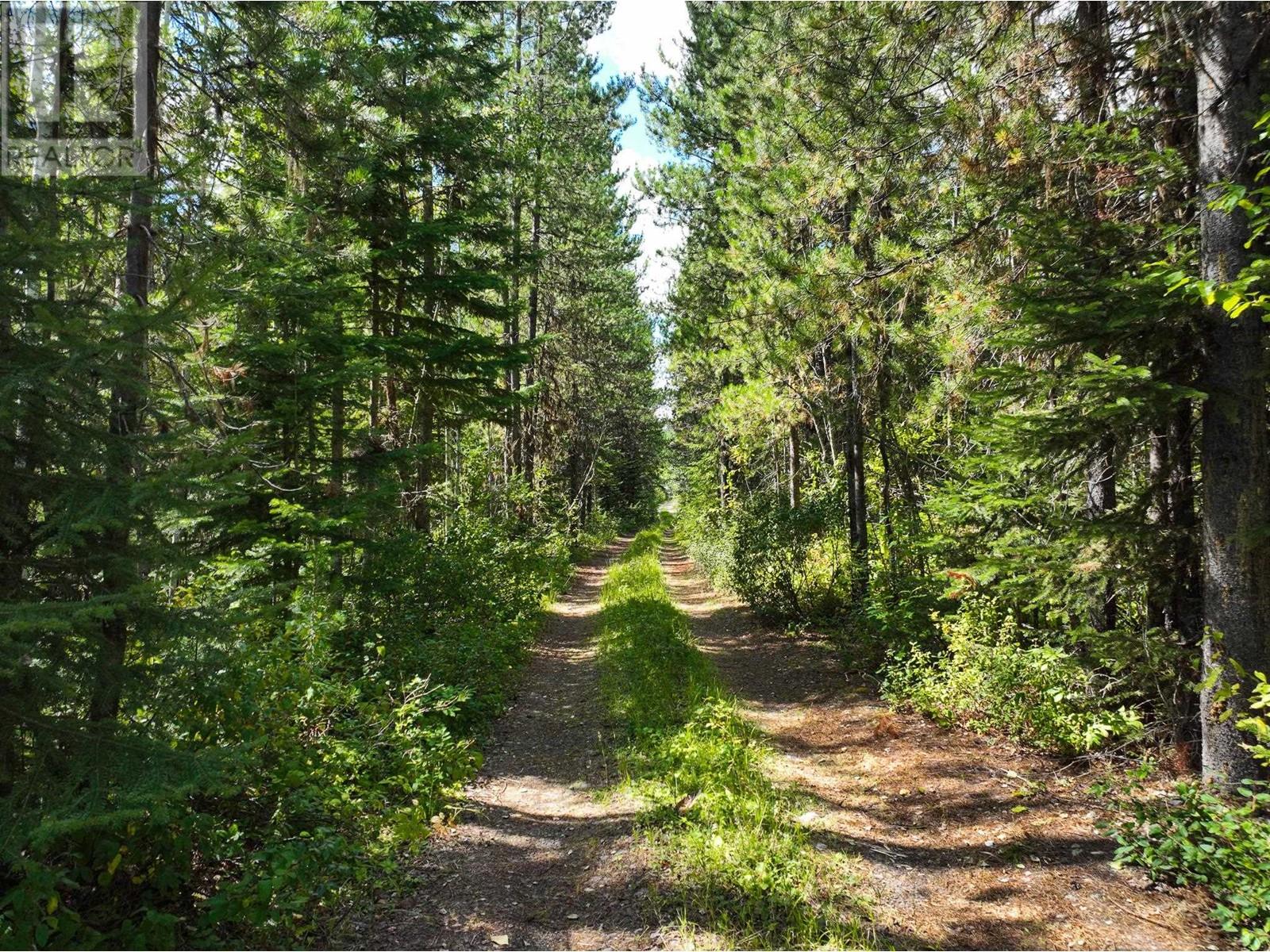 Lot 2 Chief Lake Road Property Photo 30