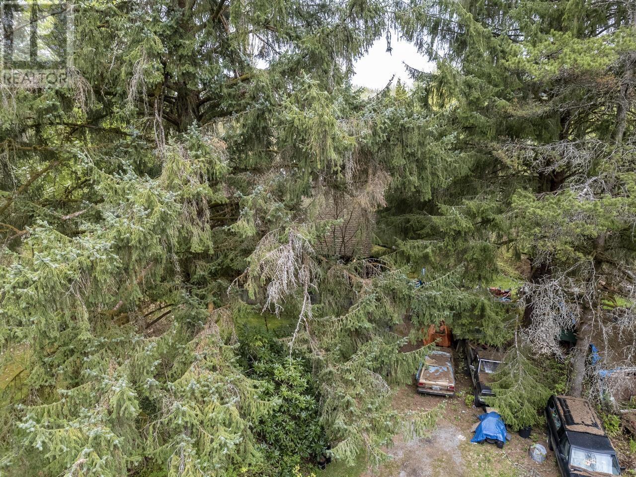 12310 256 Street Property Photo 10