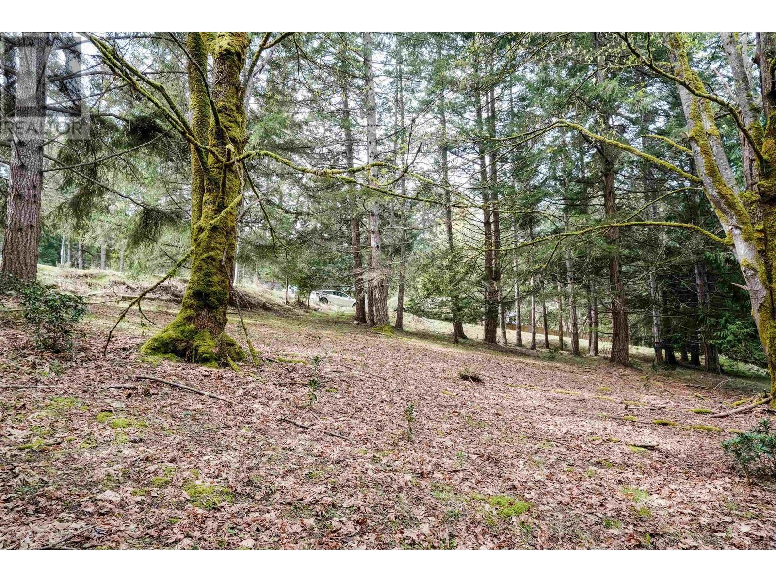 548 Dalton Drive Property Photo 5