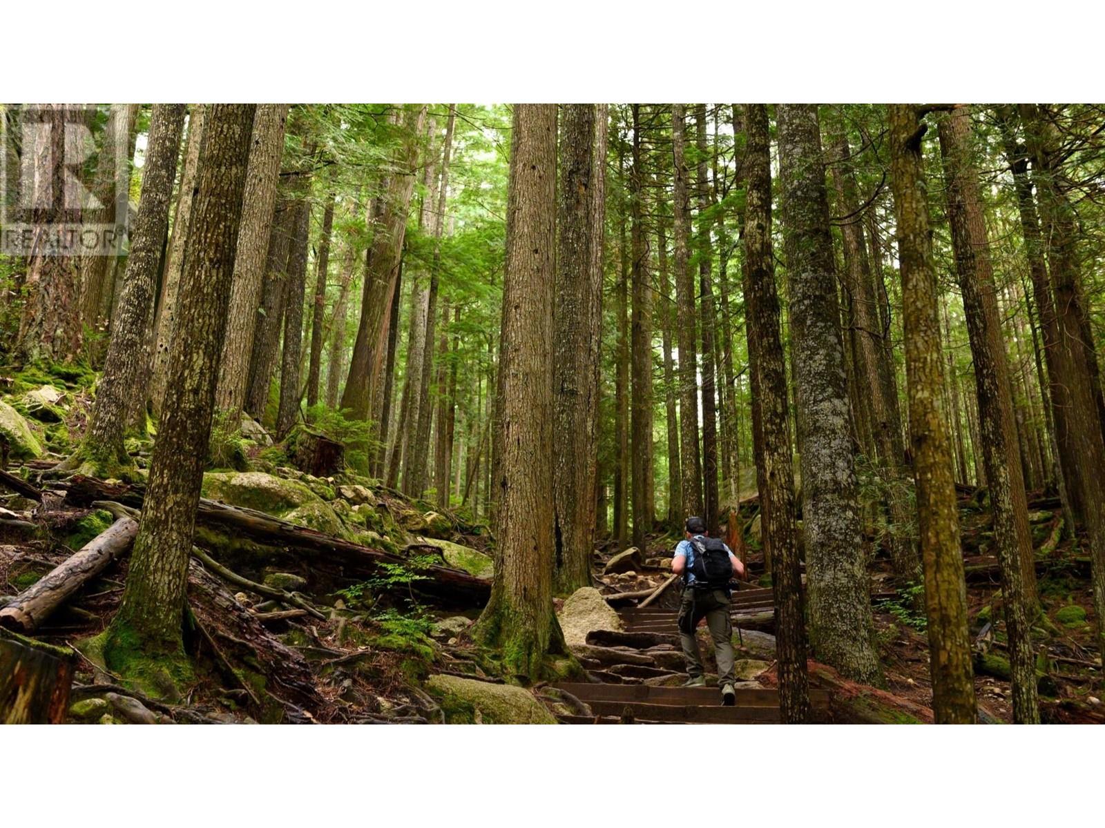4731 Sea To Sky Highway Property Photo 9