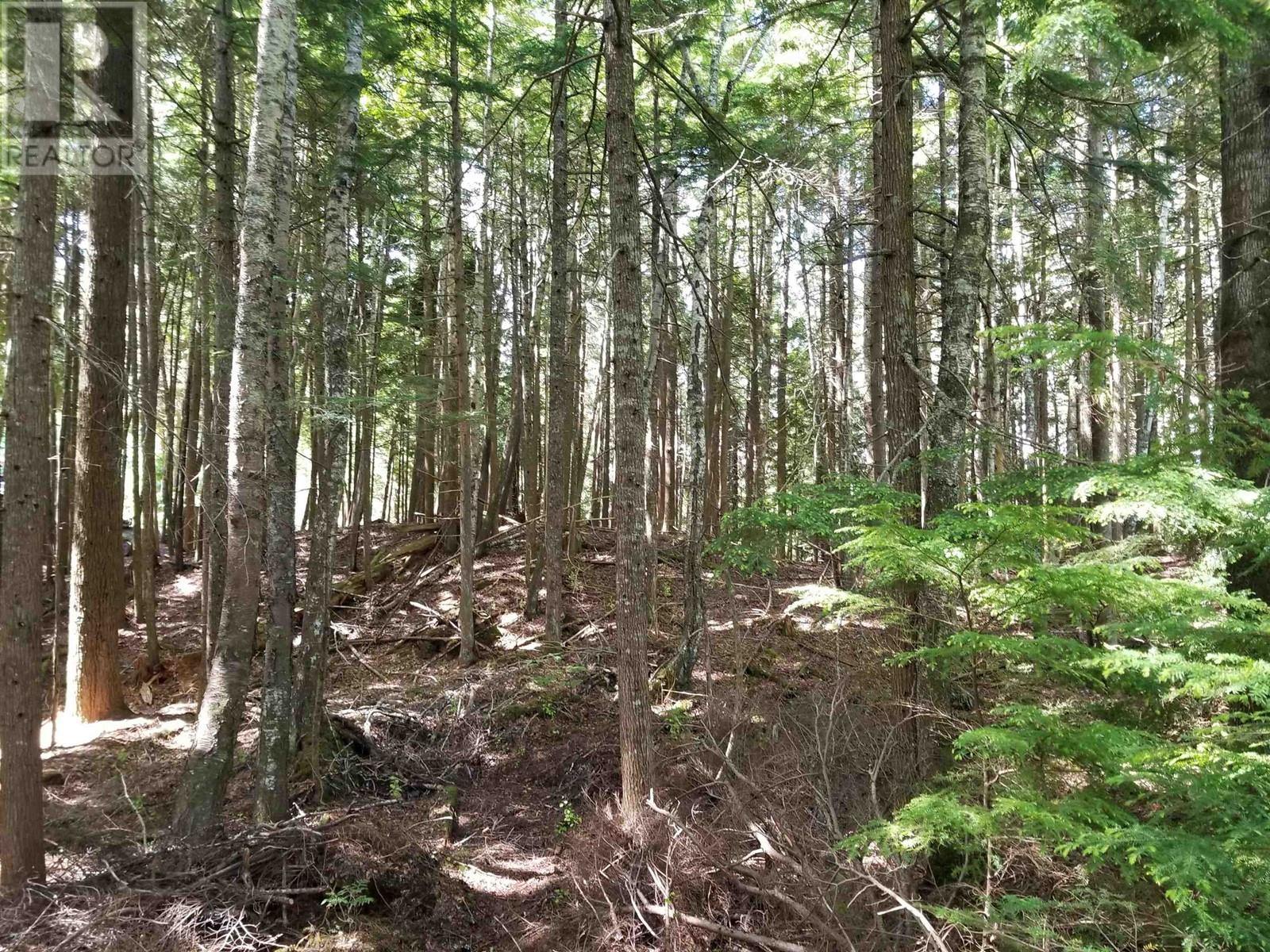 Dl 840 S 37 Highway Property Photo 4