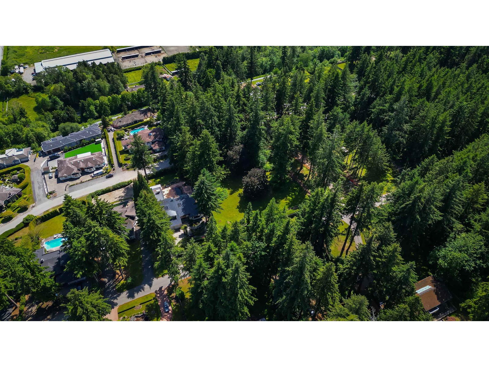 12482 53 Avenue Property Photo 8