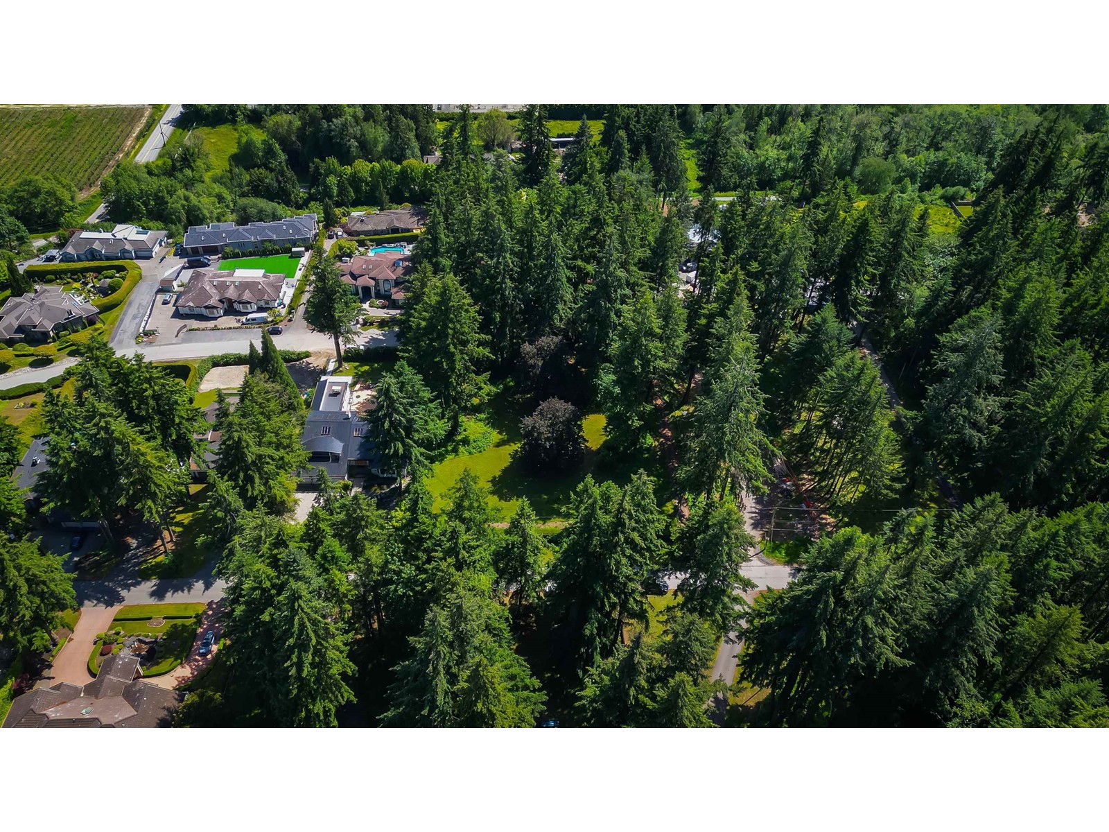 12482 53 Avenue Property Photo 9
