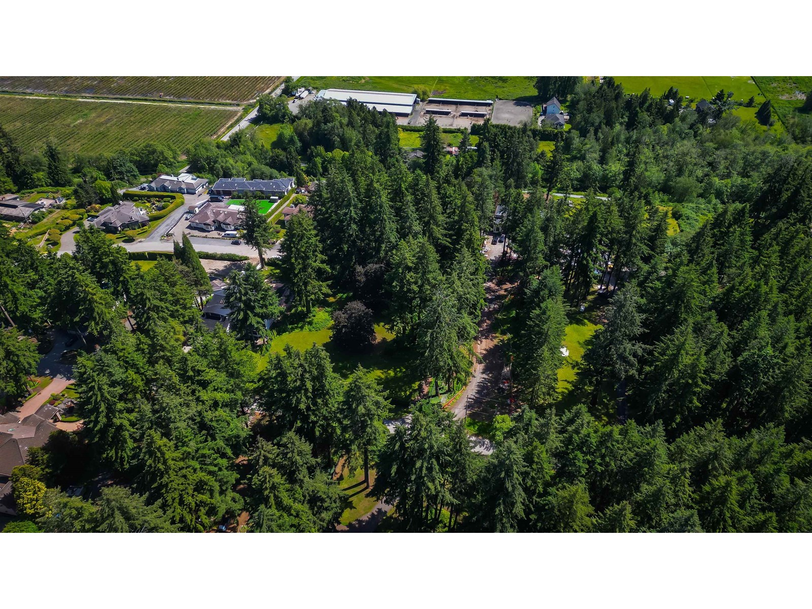 12482 53 Avenue Property Photo 10