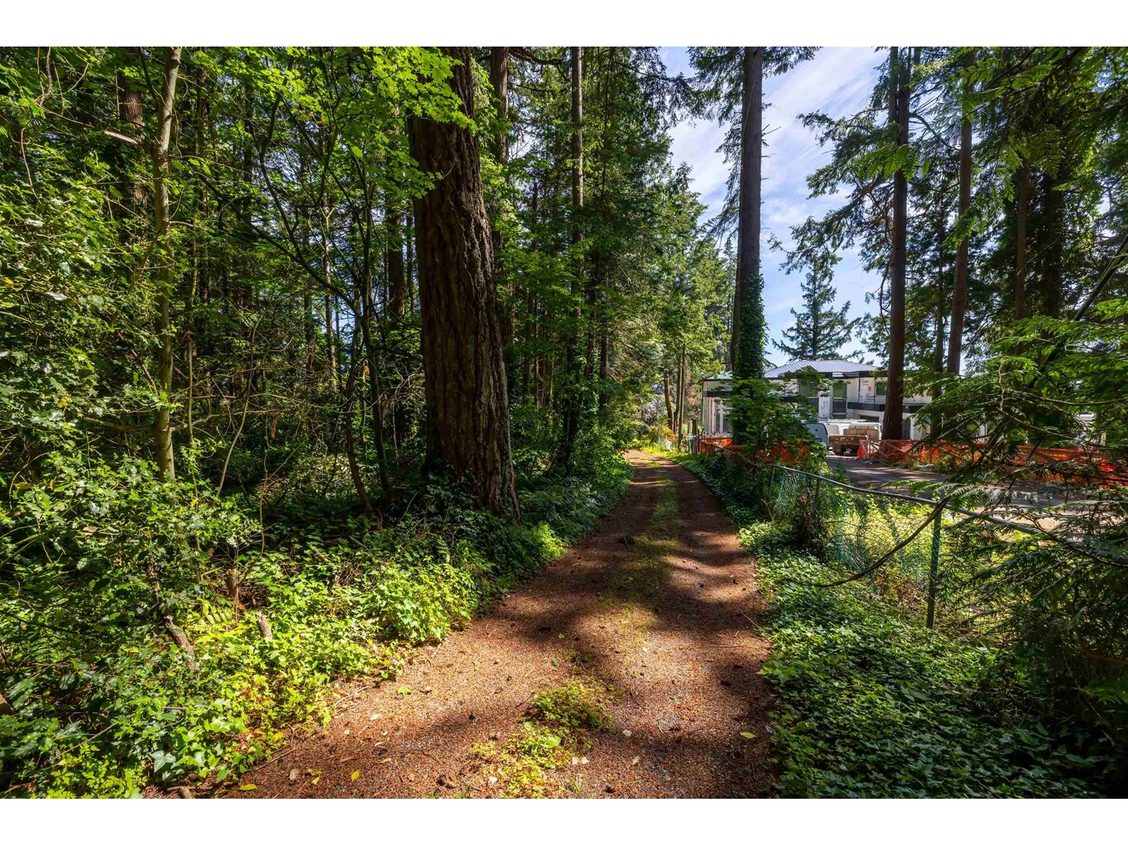 12482 53 Avenue Property Photo 15