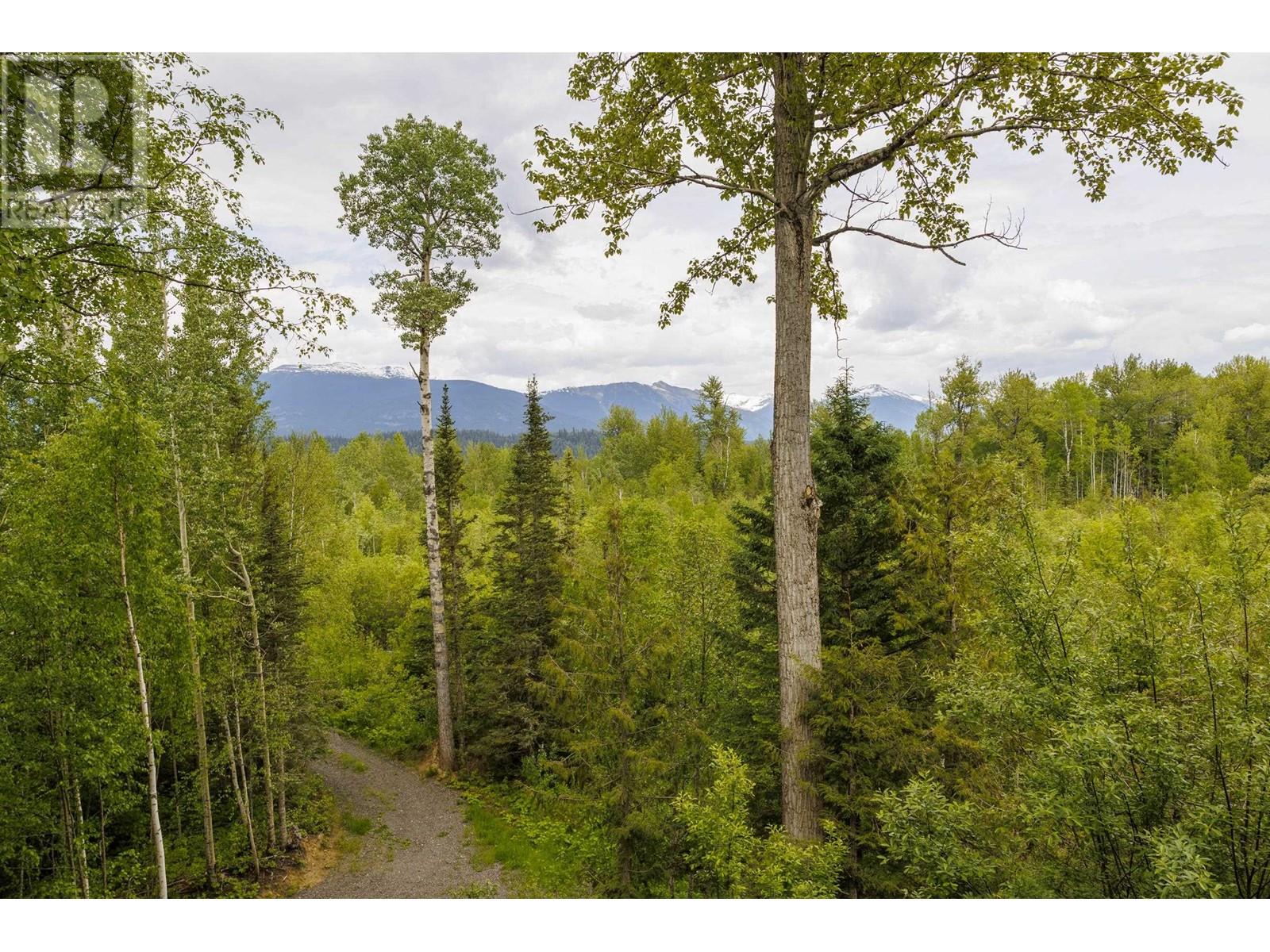 9201 Loos Road Property Photo 36