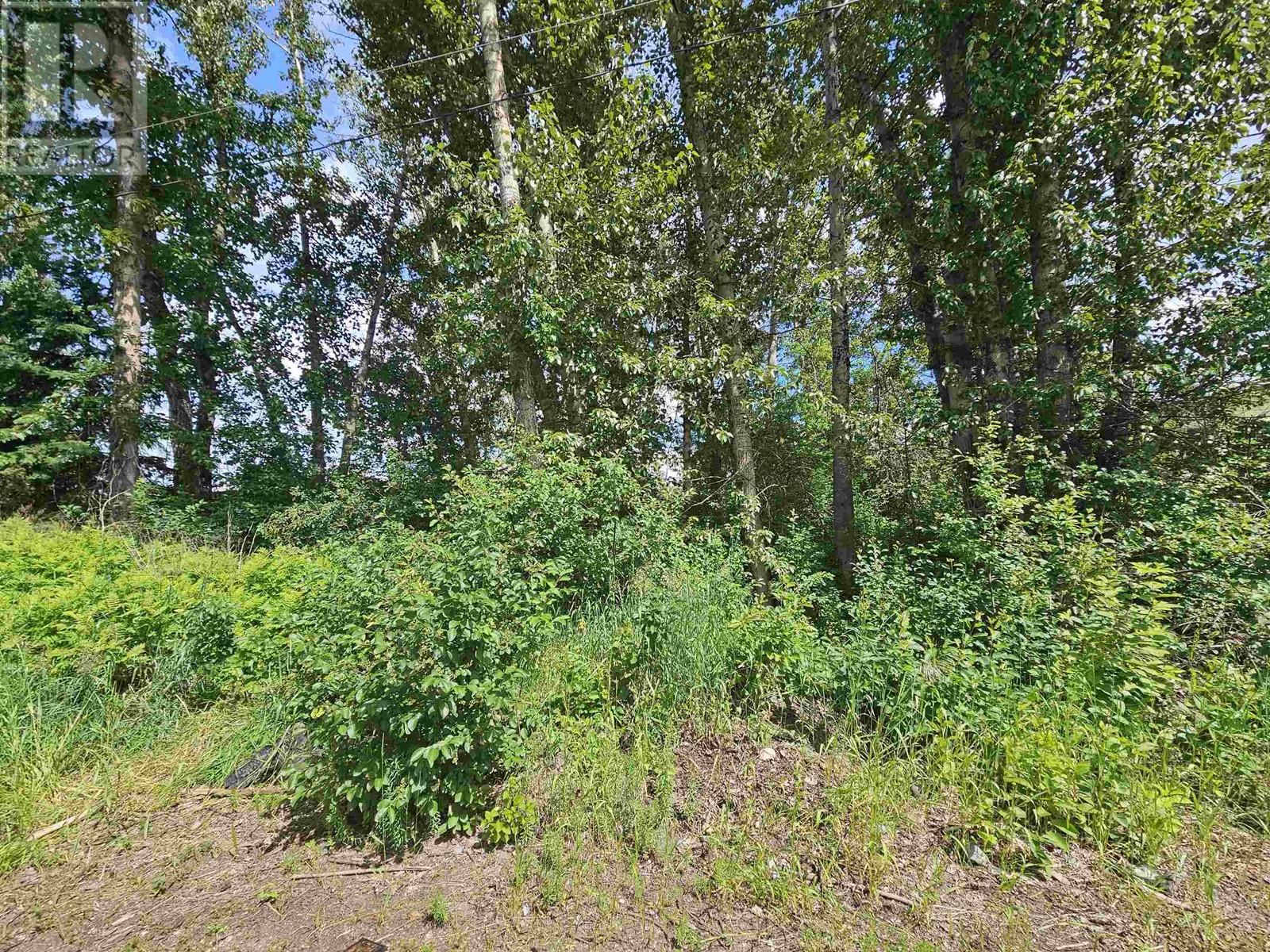2307-2311 Oak Street Property Photo 4