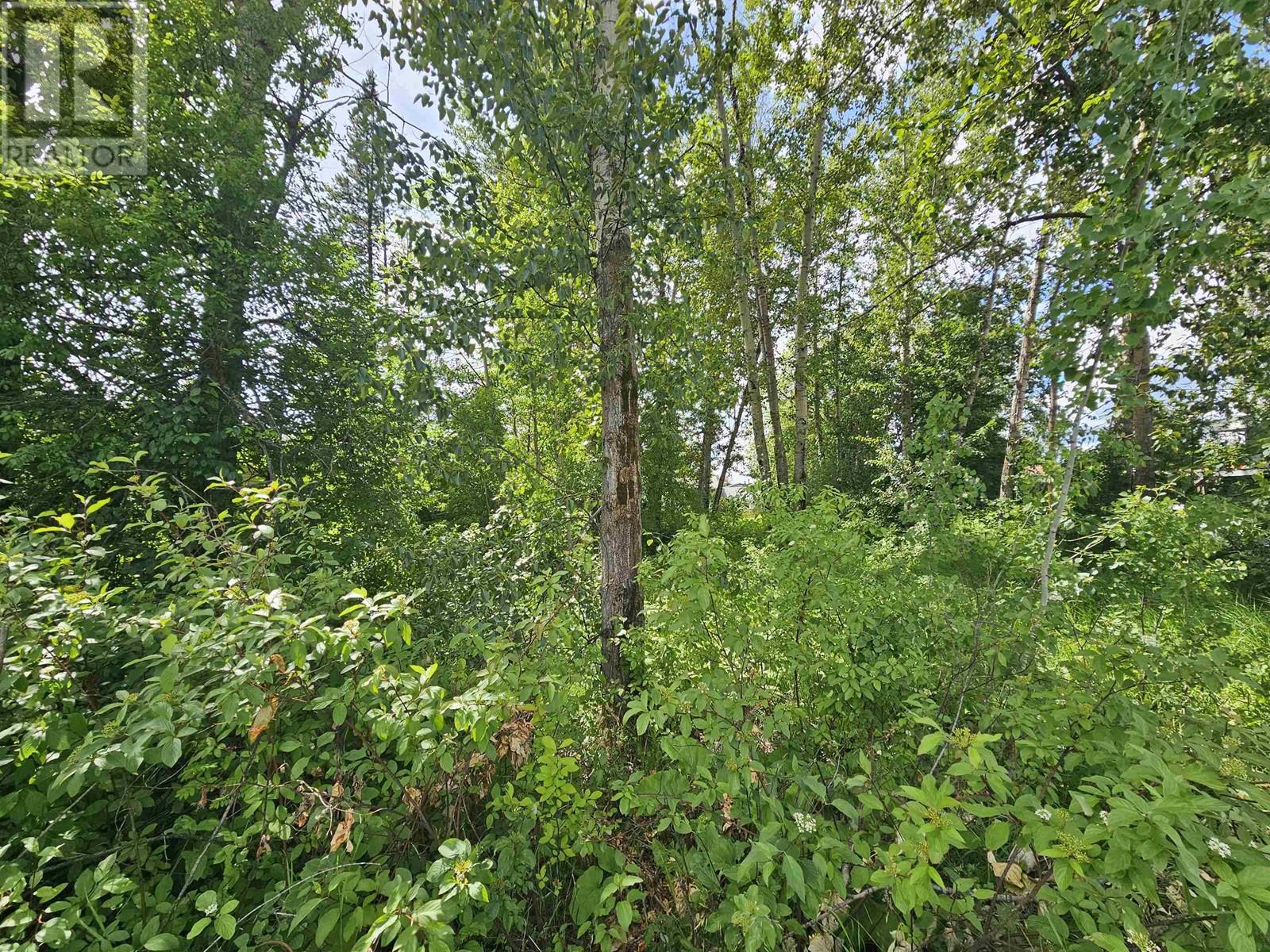 2307-2311 Oak Street Property Photo 5