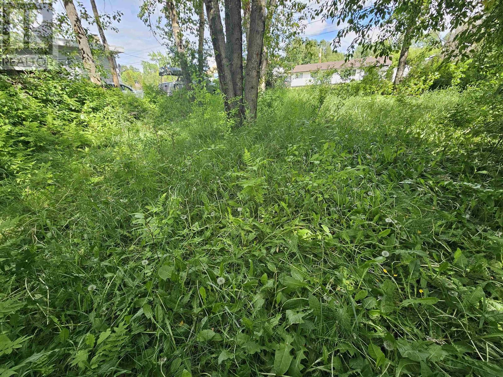 2307-2311 Oak Street Property Photo 6