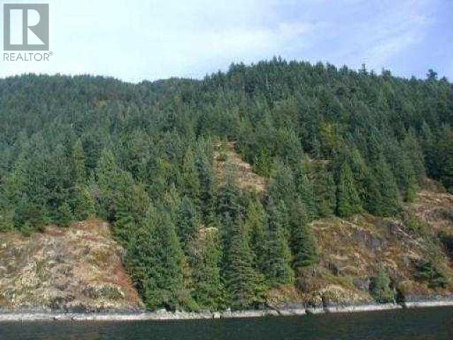 Lot 2 &-3 Indian Arm Property Photo 11