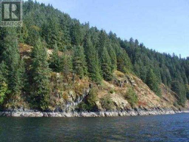 Lot 2 &-3 Indian Arm Property Photo 13